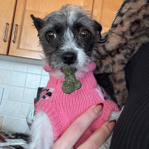 Meet your Posher, Meghan - Picture 1 of 1